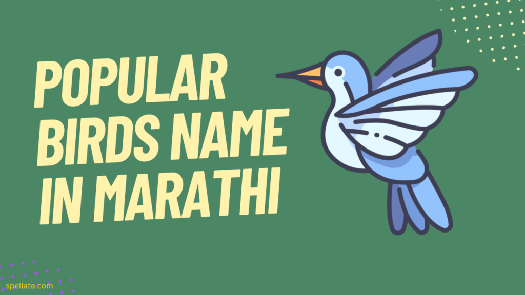 Popular Birds name in Marathi