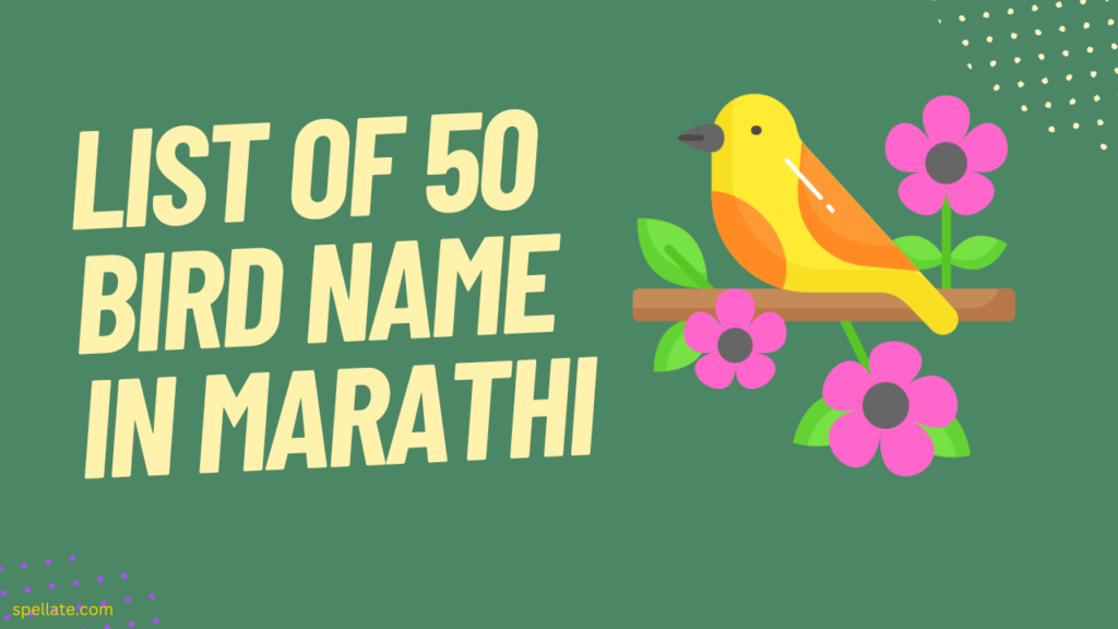 List of 50 Bird name in Marathi