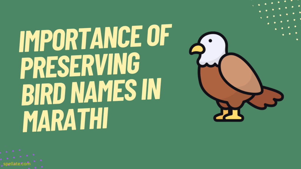 Importance of preserving bird names in Marathi