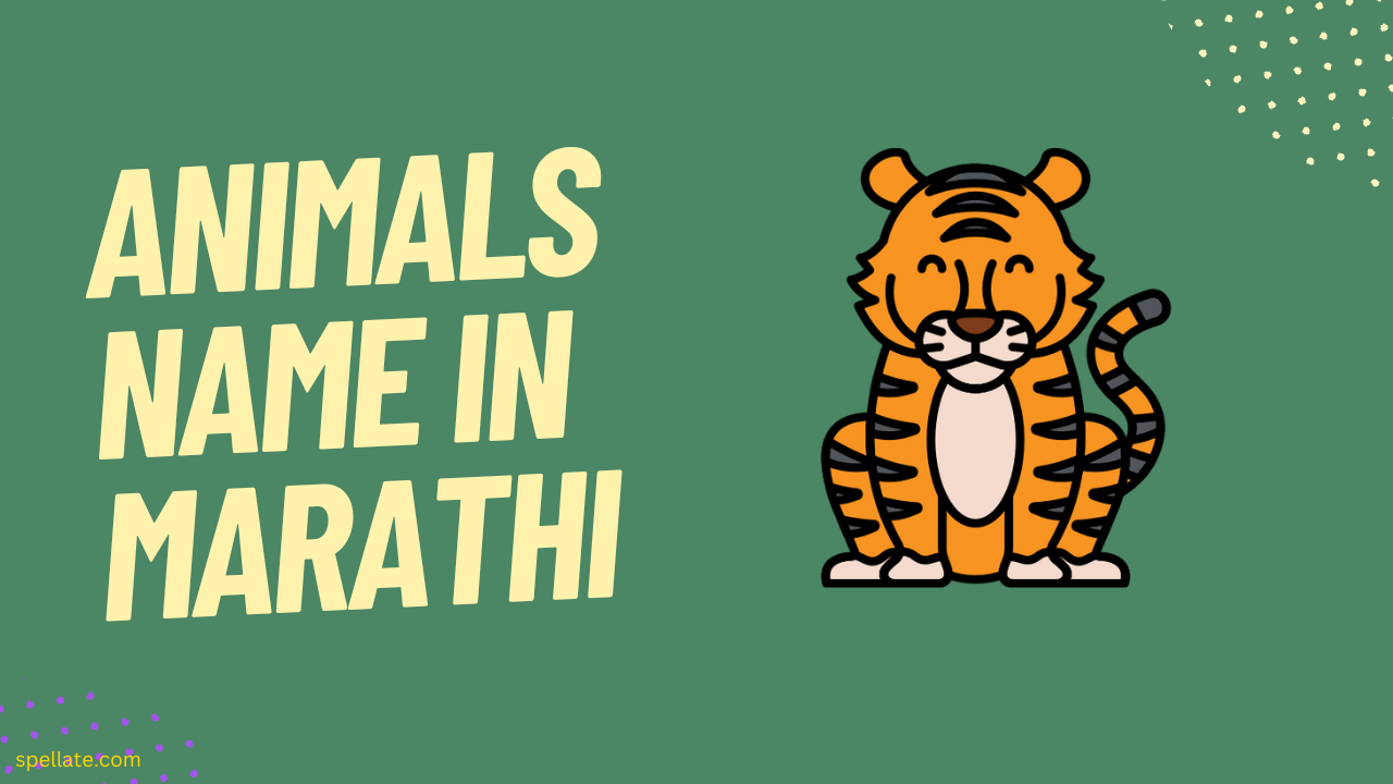 Animals Name In Marathi