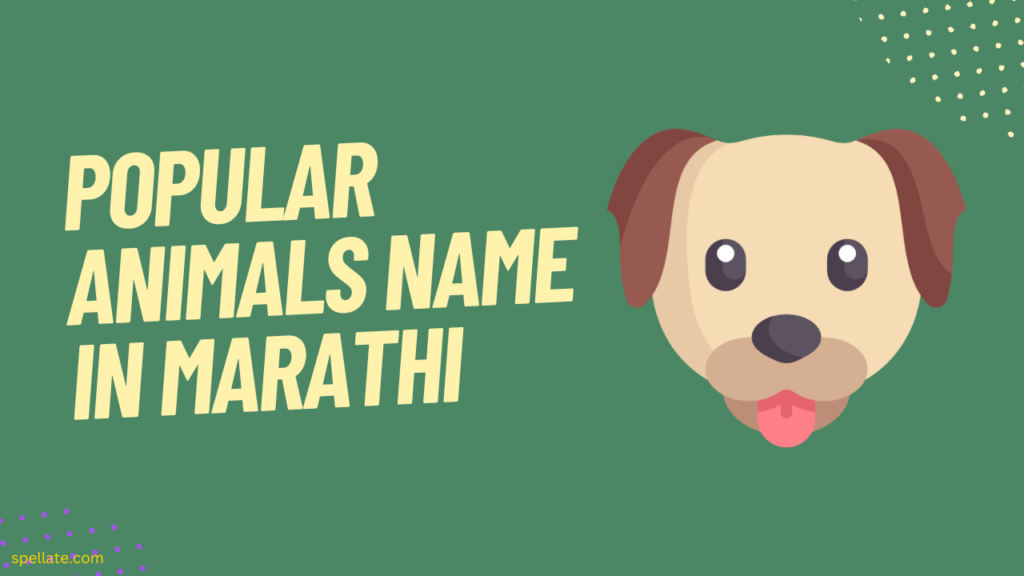 Popular Animals name in Marathi