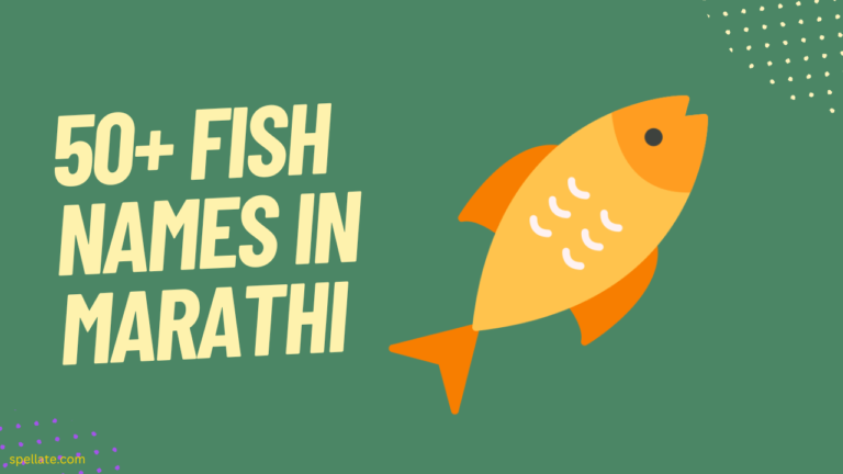 Fish Names In Marathi