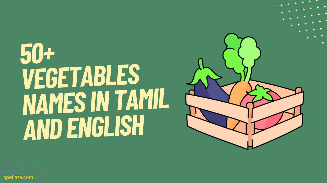 Vegetables Names In Tamil And English